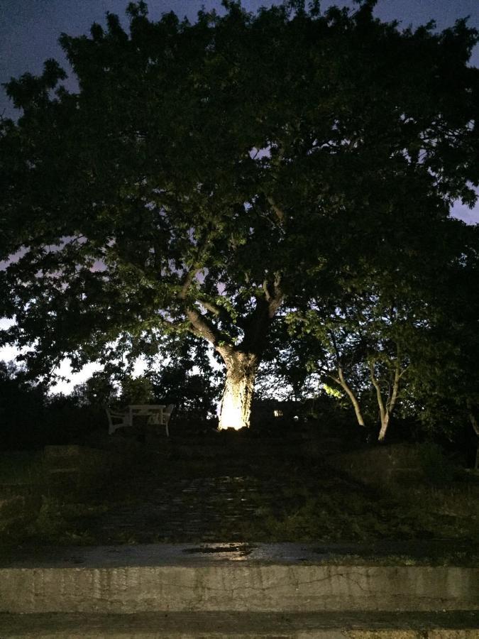 Favoloso Appartamento In Villa Monterosi Bagian luar foto