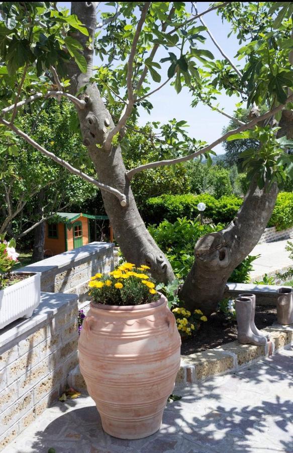 Favoloso Appartamento In Villa Monterosi Bagian luar foto